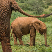 • <a style="font-size:0.8em;" href="http://www.flickr.com/photos/96122682@N08/37899222196/" target="_blank">View on Flickr</a>