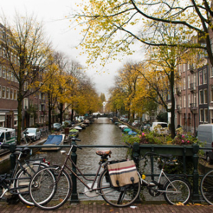 Jordaan Jordaan • <a style="font-size:0.8em;" href="http://www.flickr.com/photos/96122682@N08/37989295361/" target="_blank">View on Flickr</a>