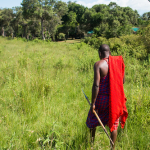 • <a style="font-size:0.8em;" href="http://www.flickr.com/photos/96122682@N08/26186499669/" target="_blank">View on Flickr</a>