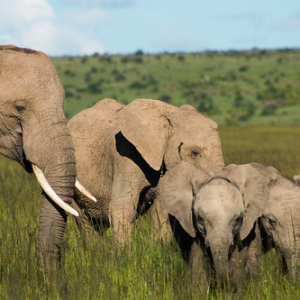 • <a style="font-size:0.8em;" href="http://www.flickr.com/photos/96122682@N08/37253106384/" target="_blank">View on Flickr</a>