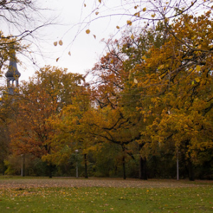 Vondelpark Vondelpark • <a style="font-size:0.8em;" href="http://www.flickr.com/photos/96122682@N08/37280314094/" target="_blank">View on Flickr</a>