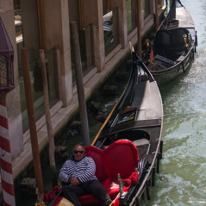 Tomando un descanso de tanto amor Tomando un descanso de tanto amor • <a style="font-size:0.8em;" href="http://www.flickr.com/photos/96122682@N08/37910988756/" target="_blank">View on Flickr</a>