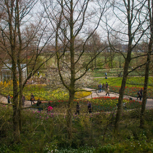 • <a style="font-size:0.8em;" href="http://www.flickr.com/photos/96122682@N08/37933168782/" target="_blank">View on Flickr</a>