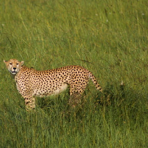 • <a style="font-size:0.8em;" href="http://www.flickr.com/photos/96122682@N08/26186347919/" target="_blank">View on Flickr</a>