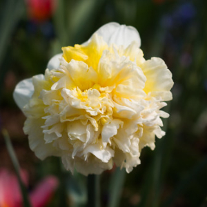 • <a style="font-size:0.8em;" href="http://www.flickr.com/photos/96122682@N08/37933181012/" target="_blank">View on Flickr</a>