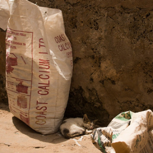 • <a style="font-size:0.8em;" href="http://www.flickr.com/photos/96122682@N08/37932264522/" target="_blank">View on Flickr</a>