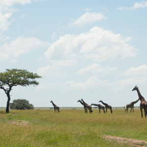 • <a style="font-size:0.8em;" href="http://www.flickr.com/photos/96122682@N08/24111004338/" target="_blank">View on Flickr</a>