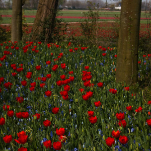 • <a style="font-size:0.8em;" href="http://www.flickr.com/photos/96122682@N08/37933178892/" target="_blank">View on Flickr</a>