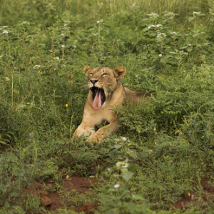 • <a style="font-size:0.8em;" href="http://www.flickr.com/photos/96122682@N08/24100785278/" target="_blank">View on Flickr</a>