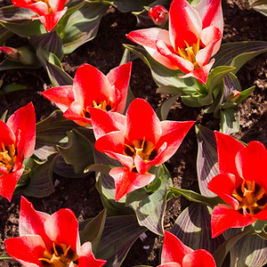 • <a style="font-size:0.8em;" href="http://www.flickr.com/photos/96122682@N08/24113089668/" target="_blank">View on Flickr</a>