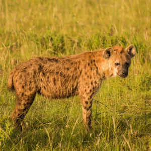 • <a style="font-size:0.8em;" href="http://www.flickr.com/photos/96122682@N08/37252387114/" target="_blank">View on Flickr</a>