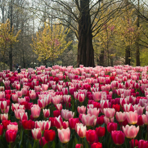 • <a style="font-size:0.8em;" href="http://www.flickr.com/photos/96122682@N08/37254372734/" target="_blank">View on Flickr</a>