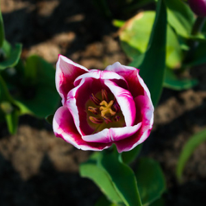 • <a style="font-size:0.8em;" href="http://www.flickr.com/photos/96122682@N08/37933221332/" target="_blank">View on Flickr</a>