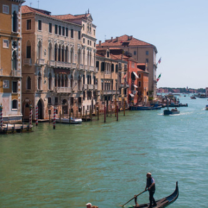 • <a style="font-size:0.8em;" href="http://www.flickr.com/photos/96122682@N08/37933542772/" target="_blank">View on Flickr</a>