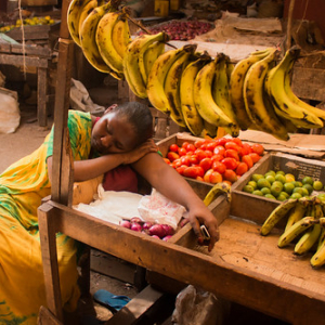 • <a style="font-size:0.8em;" href="http://www.flickr.com/photos/96122682@N08/24112177748/" target="_blank">View on Flickr</a>