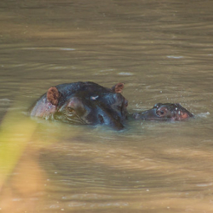 • <a style="font-size:0.8em;" href="http://www.flickr.com/photos/96122682@N08/26187177459/" target="_blank">View on Flickr</a>