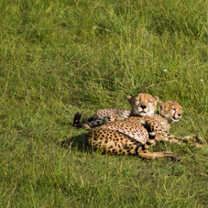 • <a style="font-size:0.8em;" href="http://www.flickr.com/photos/96122682@N08/37961881231/" target="_blank">View on Flickr</a>