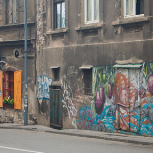 Savamala, el barrio donde las paredes hablan. Savamala, el barrio donde las paredes hablan. • <a style="font-size:0.8em;" href="http://www.flickr.com/photos/96122682@N08/37261661444/" target="_blank">View on Flickr</a>