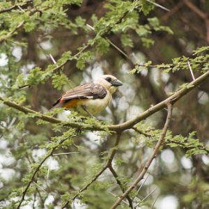 • <a style="font-size:0.8em;" href="http://www.flickr.com/photos/96122682@N08/37898460076/" target="_blank">View on Flickr</a>