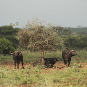 • <a style="font-size:0.8em;" href="http://www.flickr.com/photos/96122682@N08/37898516356/" target="_blank">View on Flickr</a>