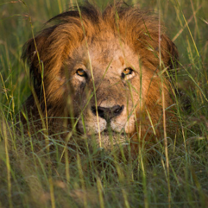 • <a style="font-size:0.8em;" href="http://www.flickr.com/photos/96122682@N08/37962074561/" target="_blank">View on Flickr</a>