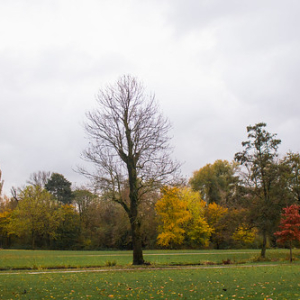 Vondelpark Vondelpark • <a style="font-size:0.8em;" href="http://www.flickr.com/photos/96122682@N08/37989235041/" target="_blank">View on Flickr</a>