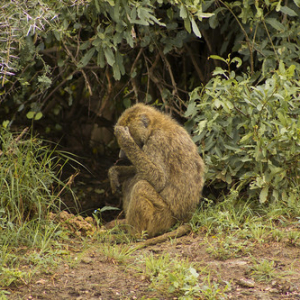 • <a style="font-size:0.8em;" href="http://www.flickr.com/photos/96122682@N08/37898449726/" target="_blank">View on Flickr</a>