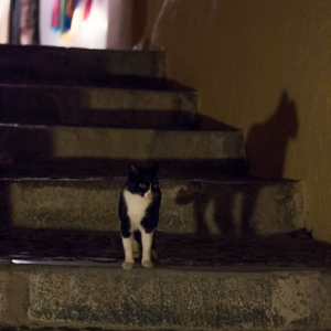 • <a style="font-size:0.8em;" href="http://www.flickr.com/photos/96122682@N08/26240111589/" target="_blank">View on Flickr</a>