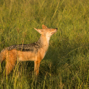 El primer suspiro de la mañana El primer suspiro de la mañana • <a style="font-size:0.8em;" href="http://www.flickr.com/photos/96122682@N08/37908522806/" target="_blank">View on Flickr</a>