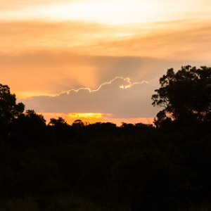 Atardecer en Masaai Mara Atardecer en Masaai Mara • <a style="font-size:0.8em;" href="http://www.flickr.com/photos/96122682@N08/37908530366/" target="_blank">View on Flickr</a>