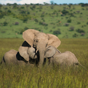 • <a style="font-size:0.8em;" href="http://www.flickr.com/photos/96122682@N08/37962764001/" target="_blank">View on Flickr</a>