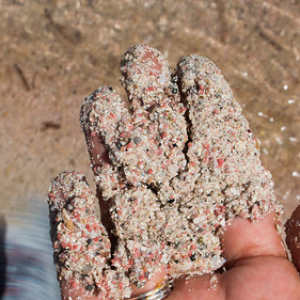 Descubriendo de cerca la arena rosa de Elafonisi Descubriendo de cerca la arena rosa de Elafonisi • <a style="font-size:0.8em;" href="http://www.flickr.com/photos/96122682@N08/38023663651/" target="_blank">View on Flickr</a>