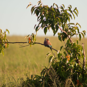 • <a style="font-size:0.8em;" href="http://www.flickr.com/photos/96122682@N08/24110929988/" target="_blank">View on Flickr</a>