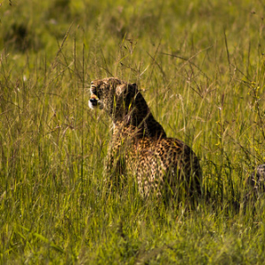 • <a style="font-size:0.8em;" href="http://www.flickr.com/photos/96122682@N08/37931735742/" target="_blank">View on Flickr</a>