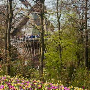 • <a style="font-size:0.8em;" href="http://www.flickr.com/photos/96122682@N08/37933175352/" target="_blank">View on Flickr</a>