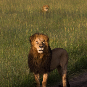 • <a style="font-size:0.8em;" href="http://www.flickr.com/photos/96122682@N08/37962078191/" target="_blank">View on Flickr</a>