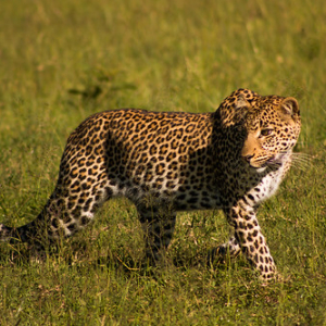 • <a style="font-size:0.8em;" href="http://www.flickr.com/photos/96122682@N08/24111639568/" target="_blank">View on Flickr</a>