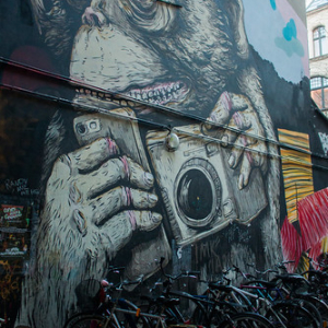 • <a style="font-size:0.8em;" href="http://www.flickr.com/photos/96122682@N08/26235684919/" target="_blank">View on Flickr</a>