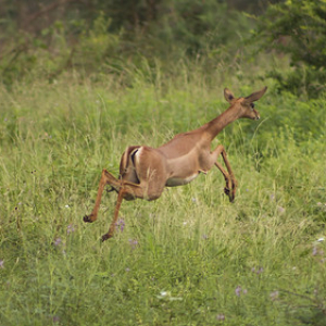 • <a style="font-size:0.8em;" href="http://www.flickr.com/photos/96122682@N08/37951712451/" target="_blank">View on Flickr</a>