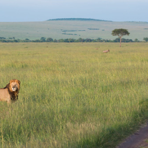 • <a style="font-size:0.8em;" href="http://www.flickr.com/photos/96122682@N08/37962083531/" target="_blank">View on Flickr</a>