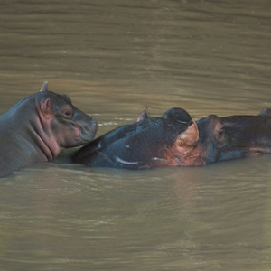 • <a style="font-size:0.8em;" href="http://www.flickr.com/photos/96122682@N08/26187174759/" target="_blank">View on Flickr</a>