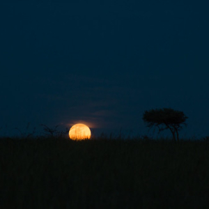 • <a style="font-size:0.8em;" href="http://www.flickr.com/photos/96122682@N08/37253093804/" target="_blank">View on Flickr</a>