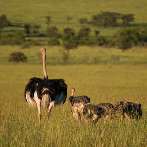 • <a style="font-size:0.8em;" href="http://www.flickr.com/photos/96122682@N08/37931773072/" target="_blank">View on Flickr</a>