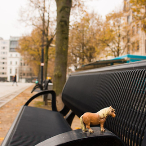 Alguien dejó ahi en penitencia a su corcel Alguien dejó ahi en penitencia a su corcel • <a style="font-size:0.8em;" href="http://www.flickr.com/photos/96122682@N08/37942994686/" target="_blank">View on Flickr</a>