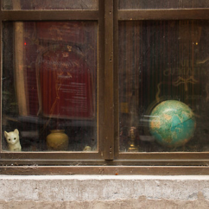 El mundo se mira a si mismo por la ventana y le cuenta al gato sus historias • <a style="font-size:0.8em;" href="http://www.flickr.com/photos/96122682@N08/37965773522/" target="_blank">View on Flickr</a>