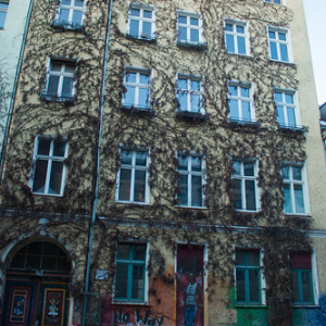 • <a style="font-size:0.8em;" href="http://www.flickr.com/photos/96122682@N08/37958494556/" target="_blank">View on Flickr</a>