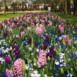 • <a style="font-size:0.8em;" href="http://www.flickr.com/photos/96122682@N08/24113096048/" target="_blank">View on Flickr</a>