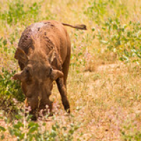 • <a style="font-size:0.8em;" href="http://www.flickr.com/photos/96122682@N08/26177027869/" target="_blank">View on Flickr</a>