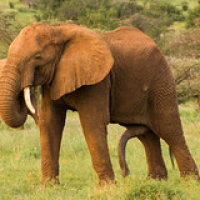 • <a style="font-size:0.8em;" href="http://www.flickr.com/photos/96122682@N08/37243152464/" target="_blank">View on Flickr</a>