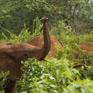 • <a style="font-size:0.8em;" href="http://www.flickr.com/photos/96122682@N08/37898467246/" target="_blank">View on Flickr</a>